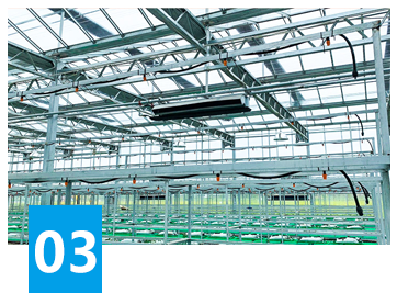 發貨迅速支持定制